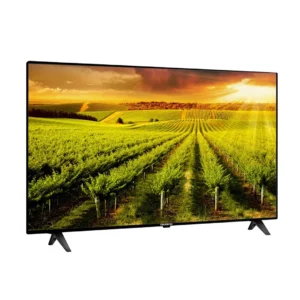 Nasco NAS-B43FBFL LED Flat - 43 ''