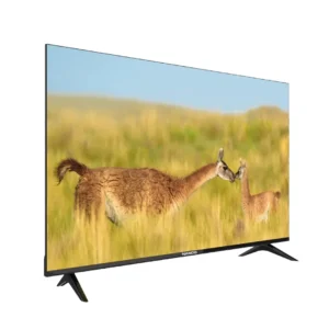 Nasco NAS-J50FBFL-G LED FHD Smart - 50"